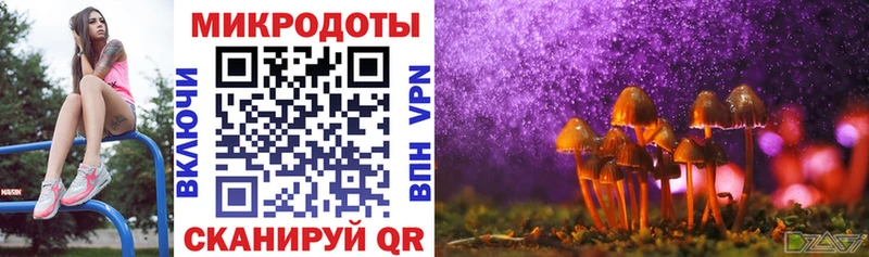 ОМГ ОМГ ссылки  Назрань  Галлюциногенные грибы Psilocybe 