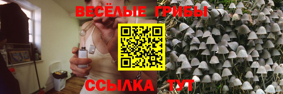 Псилоцибиновые грибы GOLDEN TEACHER Назрань